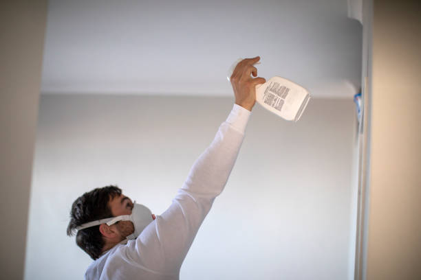 Best Emergency Mold Removal  in Chelsea Cove, NY