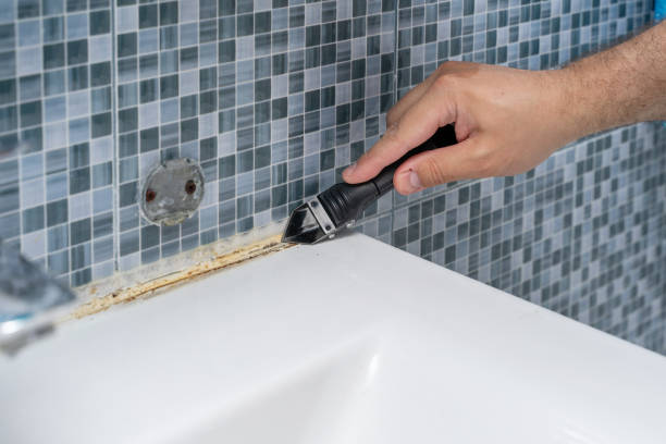 Best Same-Day Mold Removal  in Chelsea Cove, NY